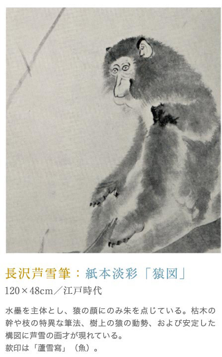長沢芦雪筆：紙本淡彩「猿図」。水墨を主体とし、猿の顔にのみ朱を点じている。枯木の幹や枝の特異な筆法、樹上の猿の動勢、および安定した構図に芦雪の画才が現れている。款印は「蘆雪寫」（魚）。