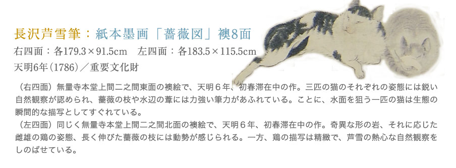 長沢芦雪筆：紙本墨画「薔薇図」