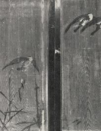 長沢芦雪筆：「芦雁図・鷲図・梅に鳥図」